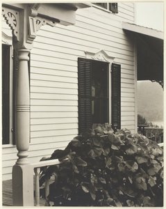 Hus og drueblader, 1934. av Alfred Stieglitz
