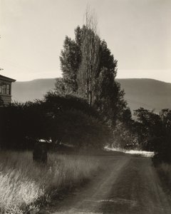  av Alfred Stieglitz