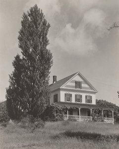  av Alfred Stieglitz