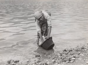 av Alfred Stieglitz