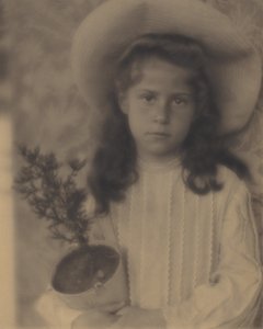  av Alfred Stieglitz