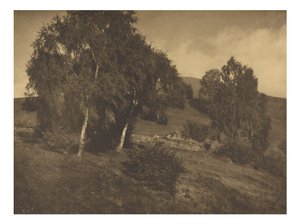  av Alfred Stieglitz