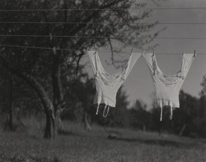  av Alfred Stieglitz