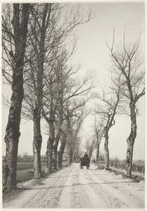 novemberdager av Alfred Stieglitz