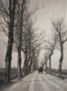  av Alfred Stieglitz