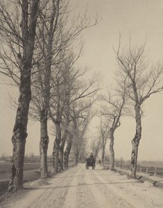  av Alfred Stieglitz