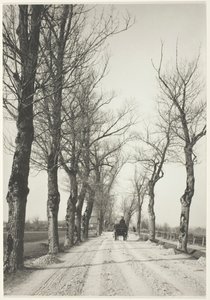 Novemberdagene, 1887, trykt 192039. av Alfred Stieglitz