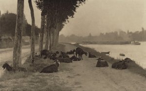  av Alfred Stieglitz