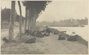 På Seinen - nær Paris, 1894, trykt 1897. av Alfred Stieglitz
