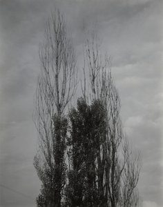  av Alfred Stieglitz