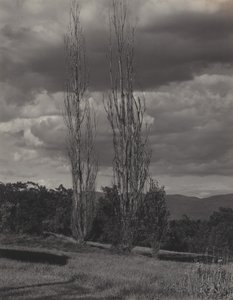  av Alfred Stieglitz