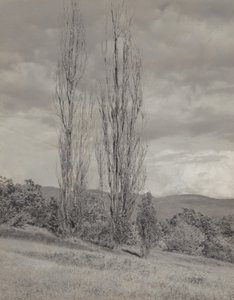  av Alfred Stieglitz