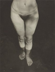Rebecca Salsbury Strand, 1922.    1194660   no       norwegian Successfully Translated  Original: The Wild Horse, or Frightened Horse Leaving the Water Translat: The Wild Horse, or Frightened Horse Leaving the Water 1308089 no norwegian Successfully Transl av Alfred Stieglitz