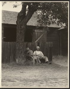  av Alfred Stieglitz