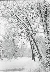 Snowscape, Berlin, 188892. av Alfred Stieglitz
