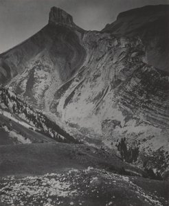  av Alfred Stieglitz