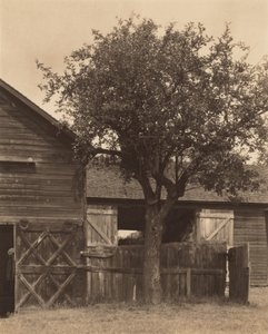  av Alfred Stieglitz