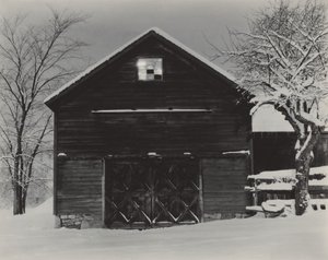  av Alfred Stieglitz