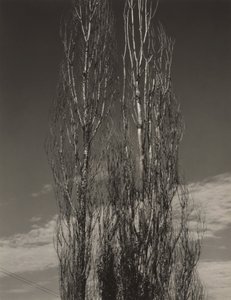  av Alfred Stieglitz