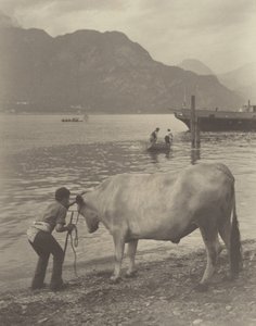  av Alfred Stieglitz
