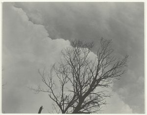 Tresett 3 av Alfred Stieglitz
