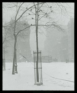  av Alfred Stieglitz