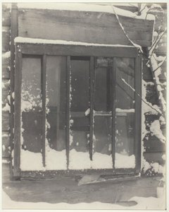 Vindu: tre, glass, snø, 1923. av Alfred Stieglitz