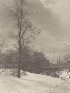 av Alfred Stieglitz