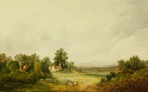Sauer ved en kirke i et skogslandskap