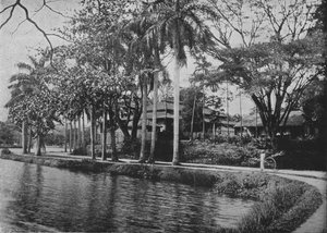 Kandy - A Picturesque Corner of the Lake, c1890, 1910 av Alfred William Amandus Plate