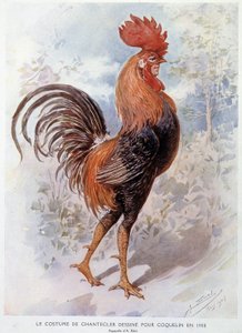 Chantecler Rooster Costume designet for Constant Poppy i 1908, stykke i vers av Edmond Rostand av Alfredo Edel