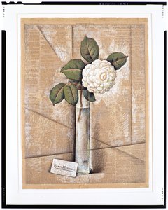Gardenia i glass, ca. 1936 (gouache, akvarell og kritt på avispapir)