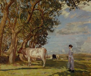 Sommermorgen, en melkepike og storfe