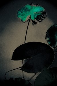 Smaragd vår, fra serien Vår, 2020 (håndmalt fotografi)