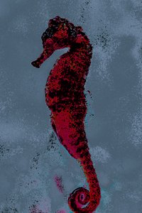 Sjøhest, 2018 (håndmalt fotografi)