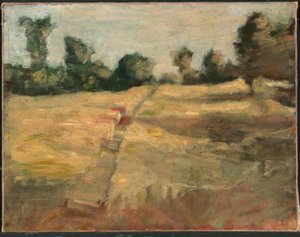 Feltet av Alice Pike Barney