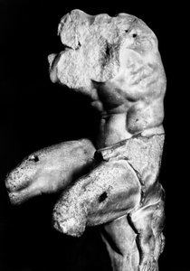 The Belvedere Torso av Apollonios av Nestor, ca. 1890 (s/hvitt-bilde) av Fratelli Alinari