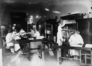 Villa Rosa Maltoni Mussolini: studerer i biblioteket (s/hv-bilde) av Fratelli Alinari
