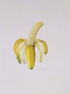 En halvskrælte banan, 1997