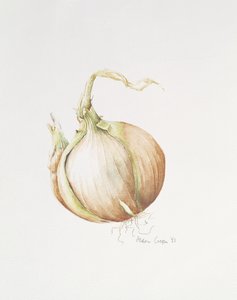 Onion Study, 1993