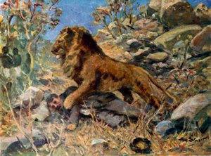 David Livingstone, Livingstone og løven (farge litho)