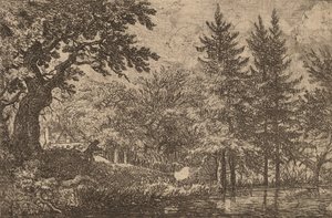 Grantrær ved vannet, sannsynligvis ca. 16451656. av Allart van Everdingen