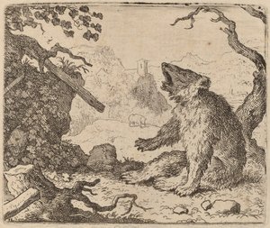 The Bear Sendt as Messenger, sannsynligvis ca. 16451656. av Allart van Everdingen