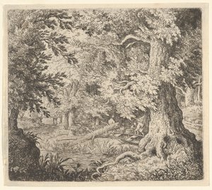 The Brook in the Wood, 1600-tallet. av Allart van Everdingen