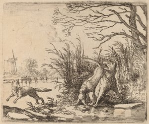 The Wolves on the Ice, sannsynligvis ca. 16451656. av Allart van Everdingen