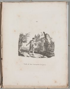 Litografiens kunst: Overføring av en tregravering, plate VI
