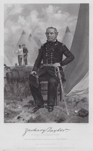 Zachary Taylor (gravering) av Alonzo (after) Chappel