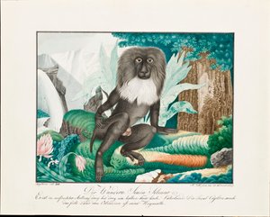 En makak, 1837