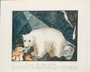 Den hvite bjørnen, 1844
