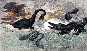 Lias-periode (nedre jura): Plesiosaur og Ichtyosaur, naturlig skapelse og levende vesener (av Jules Rengade) Tegning av A. Demarle. 1885